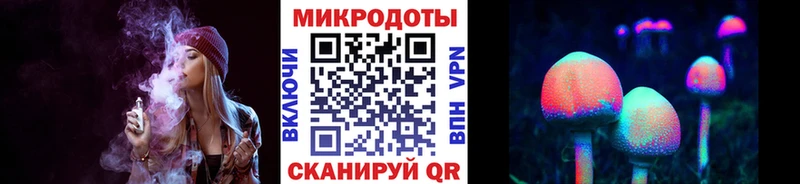 где купить наркоту Злынка Псилоцибиновые грибы Psilocybine cubensis