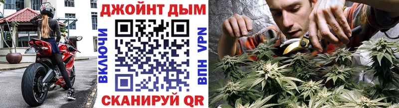 где найти Злынка Бошки Шишки THC 21%